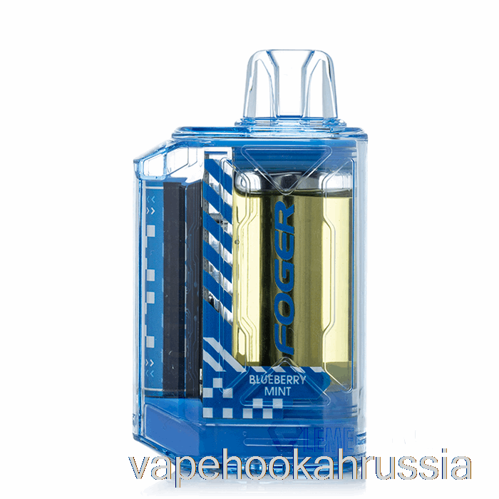 Vape Russia Foger CT10000 одноразовый с черникой и мятой